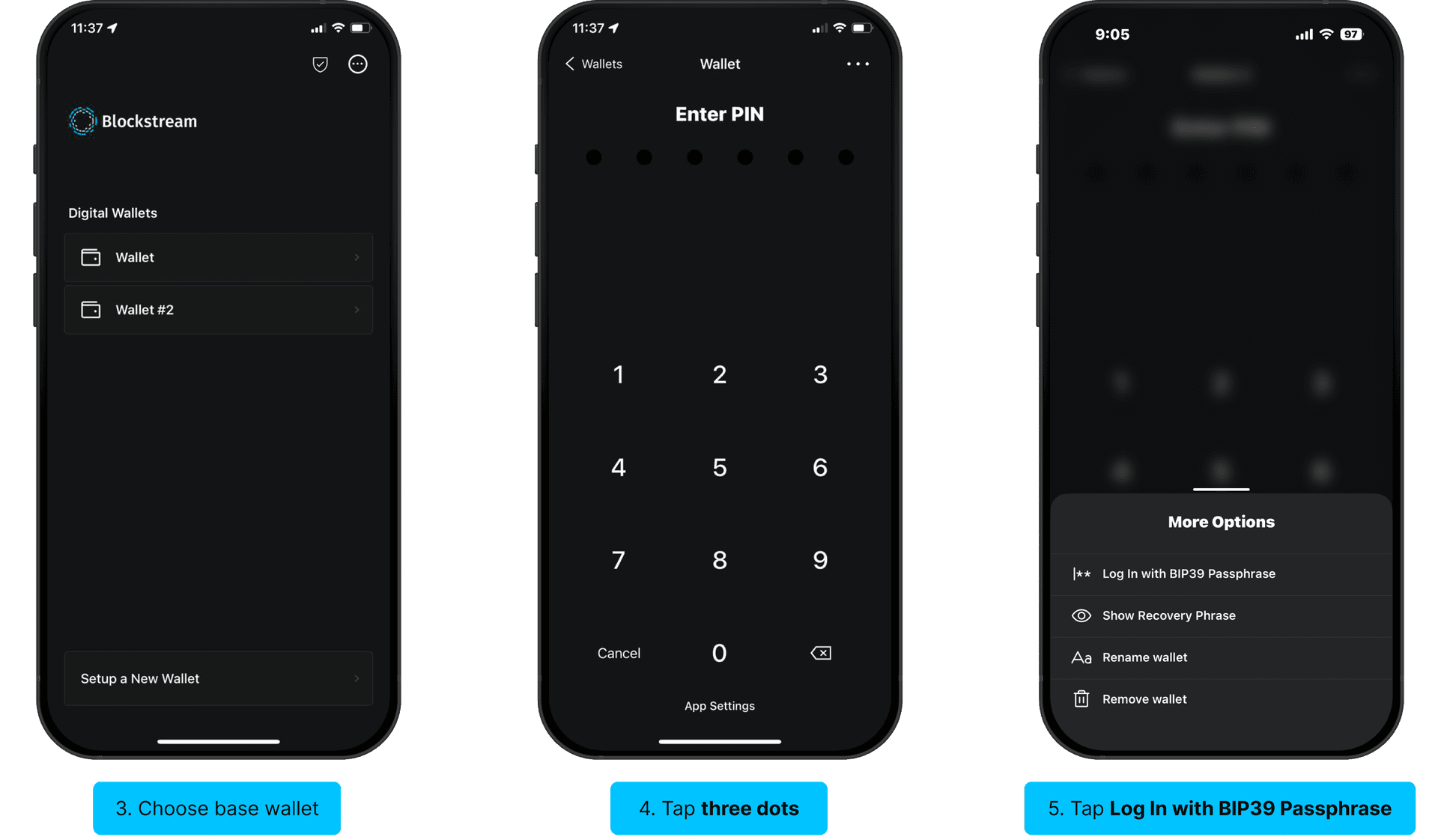Log in with BIP39 passphrase: choose base wallet, tap three dots, tap Log In with BIP39 Passphrase