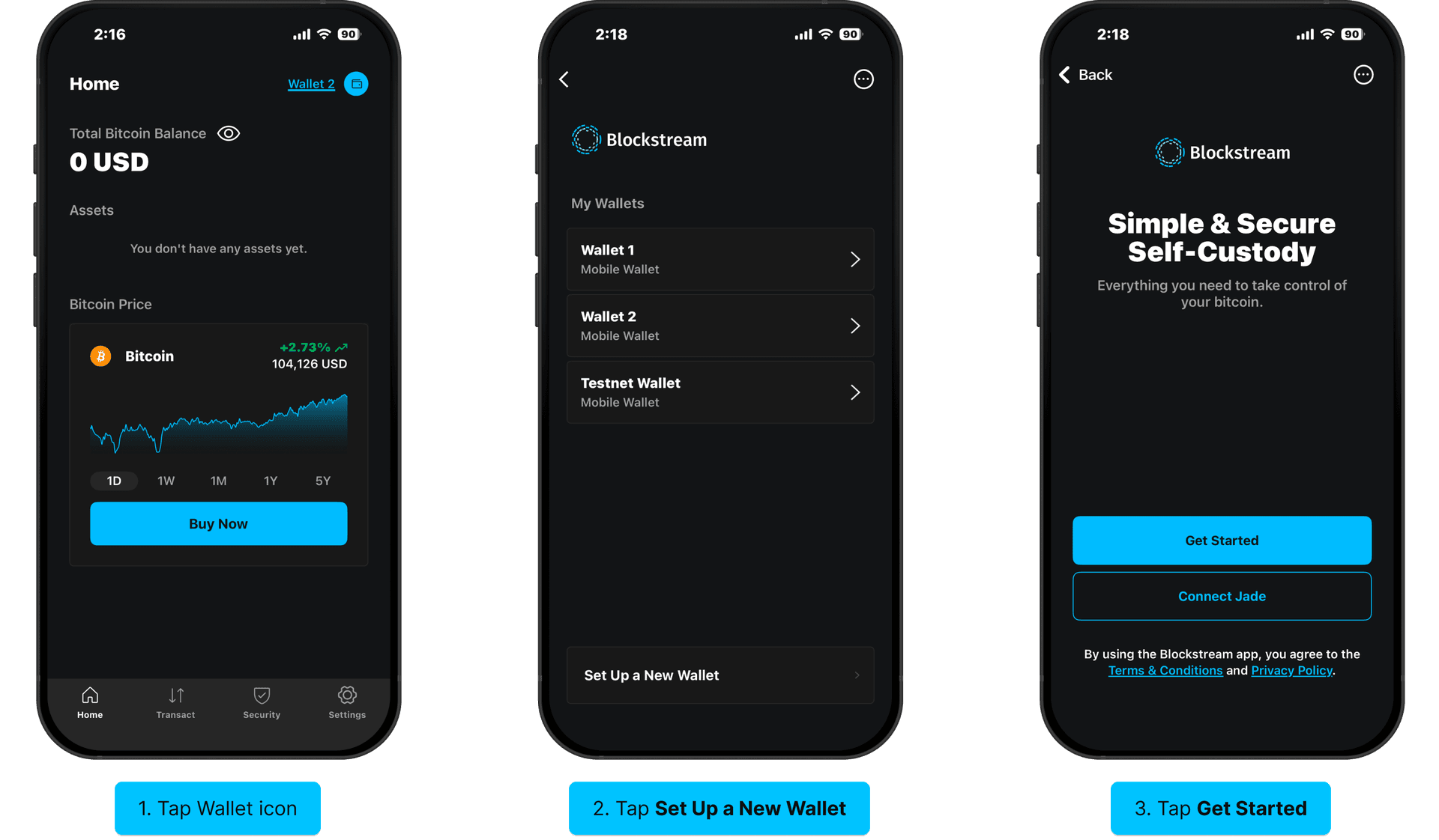 Set up watch-only access: Wallet icon, Set Up a New Wallet, Get Started