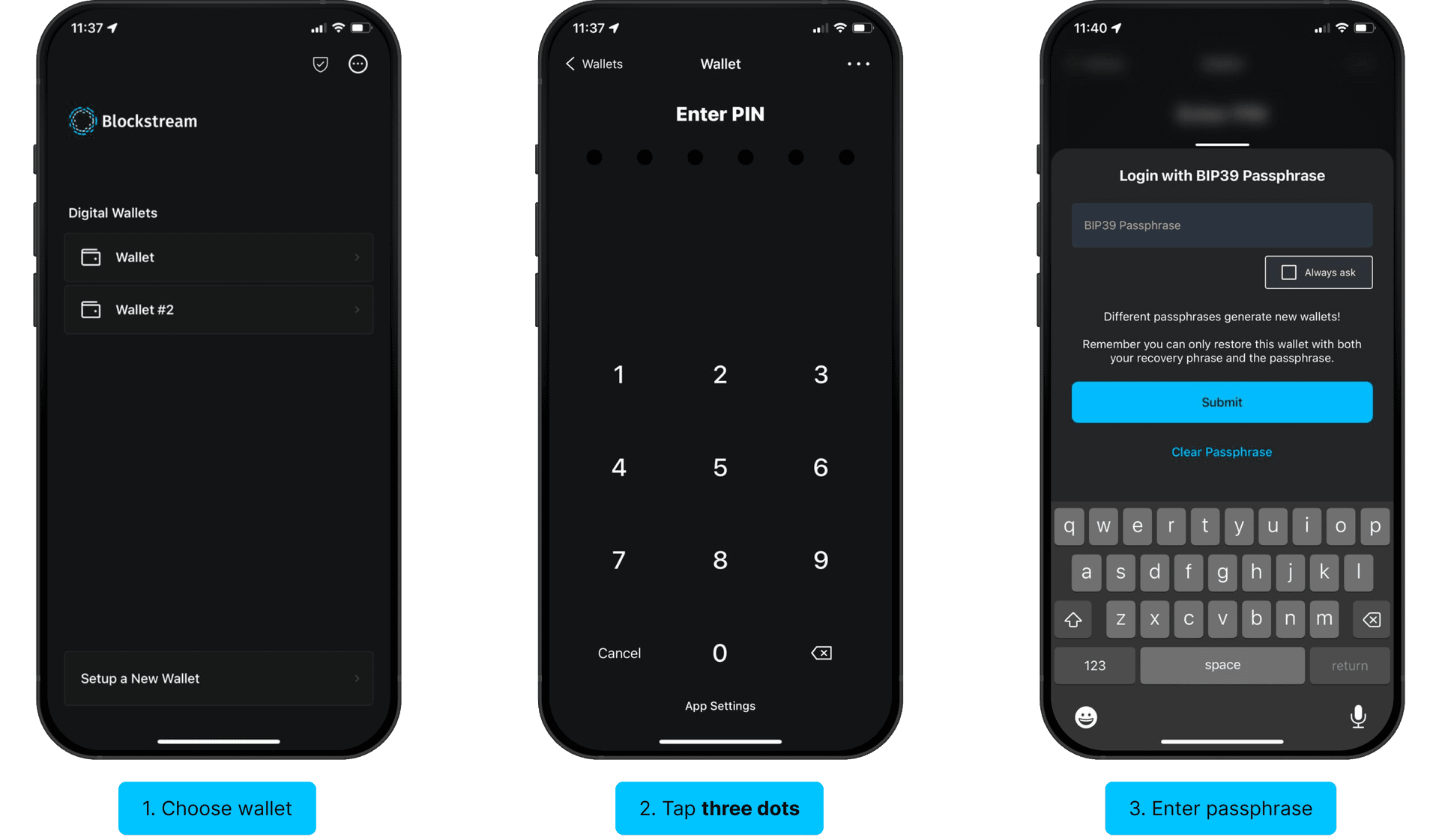 Set up a BIP39 passphrase: choose wallet, tap three dots, enter passphrase, enter PIN, wallet opens