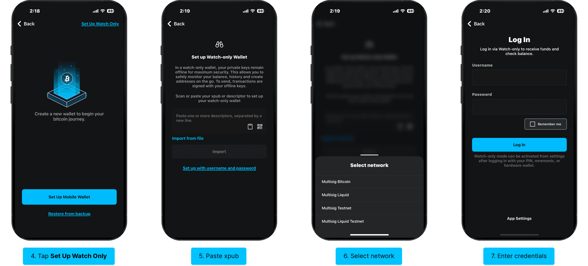 Set up watch-only access: Set Up Watch Only, paste xpub, select network, log in