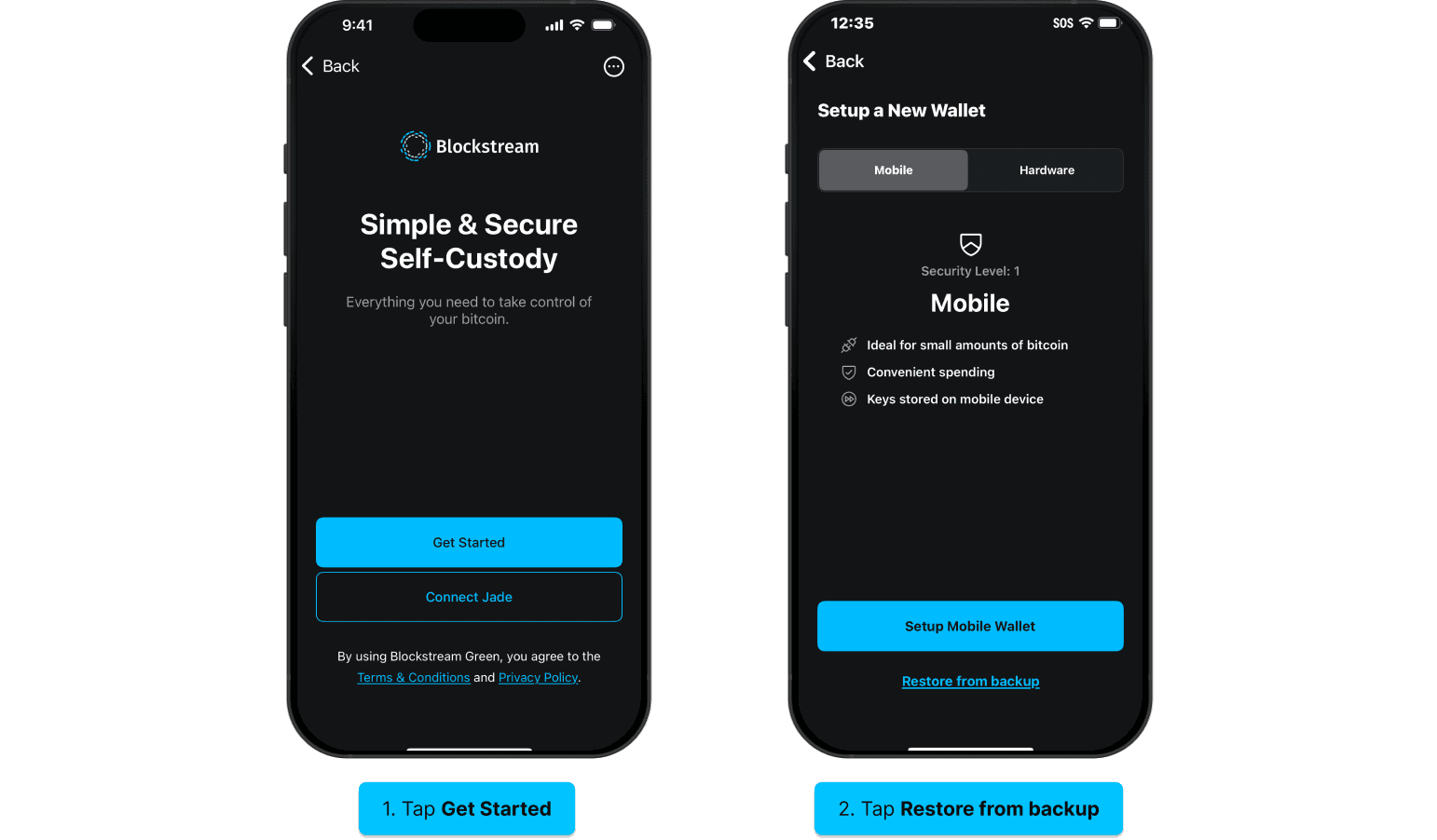 Blockstream app screens for restoring a wallet