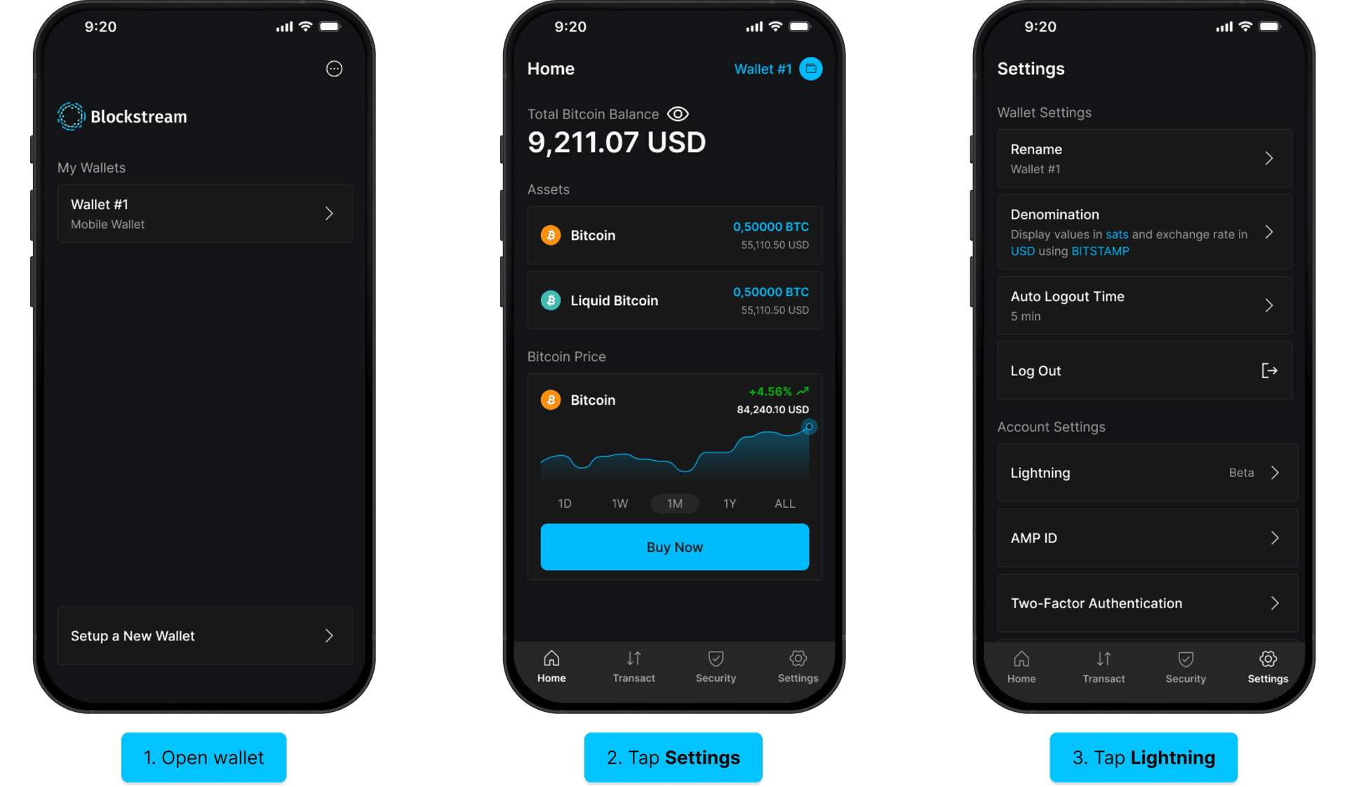 Enable Lightning (iOS): open wallet, Settings, Lightning