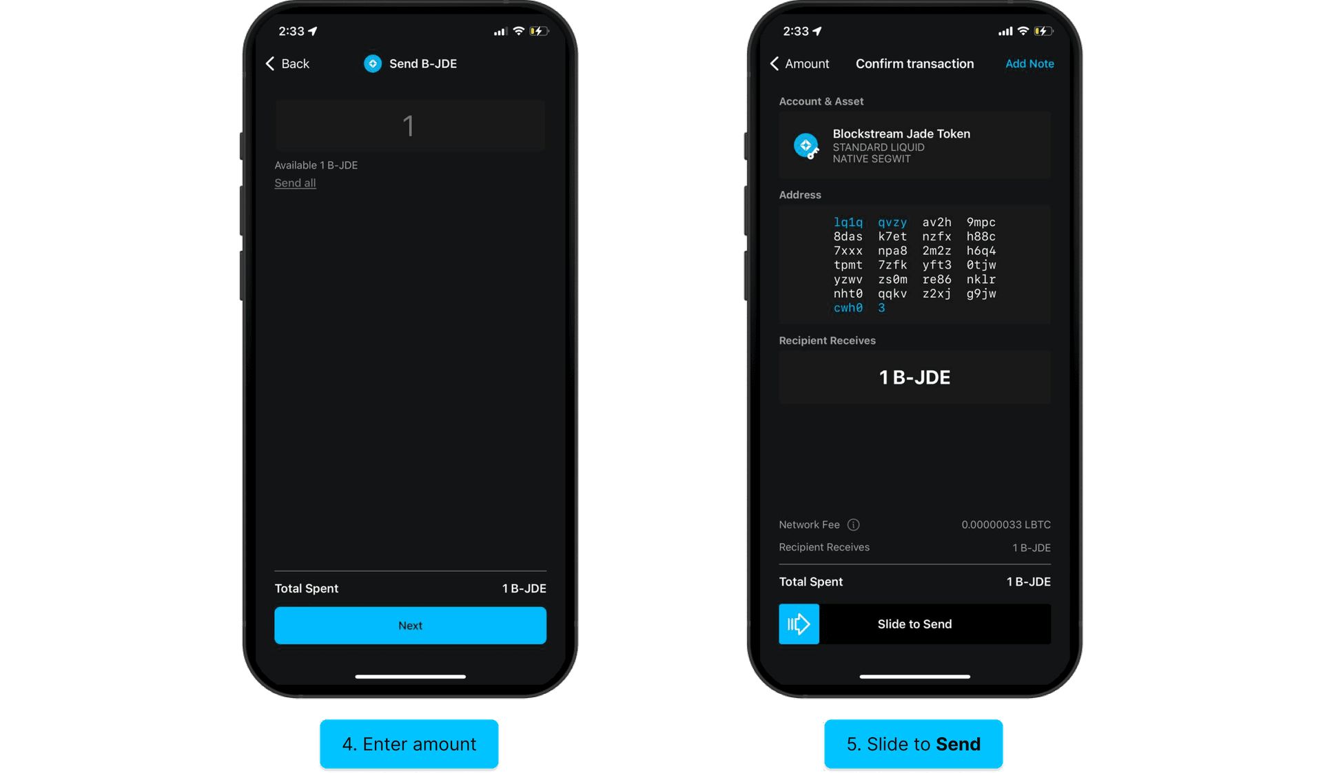 Sending Liquid assets: enter amount, slide to Send