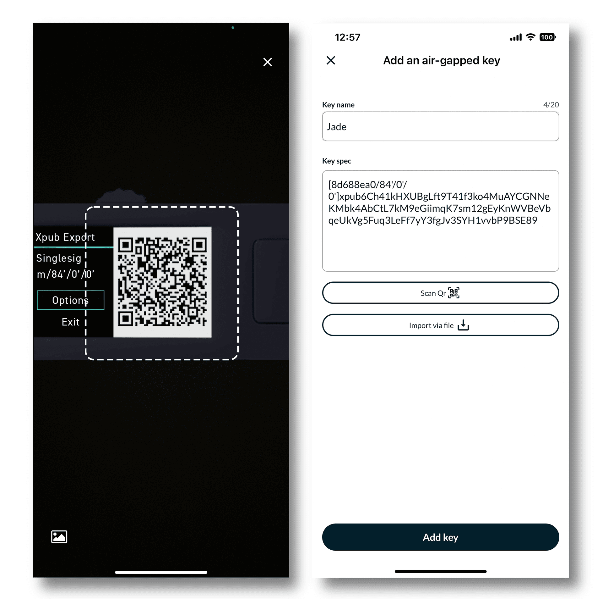 Nunchuk Add key after the data is imported