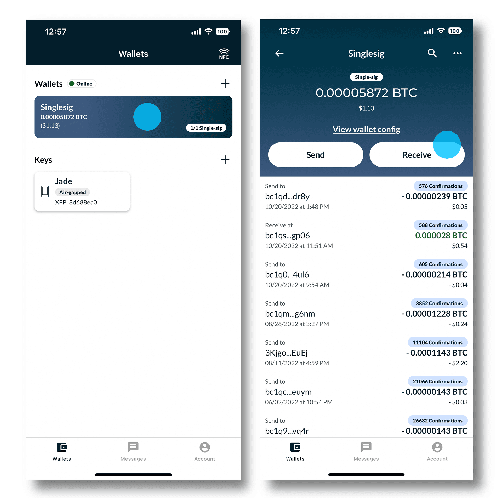 Nunchuk wallet with Receive selected