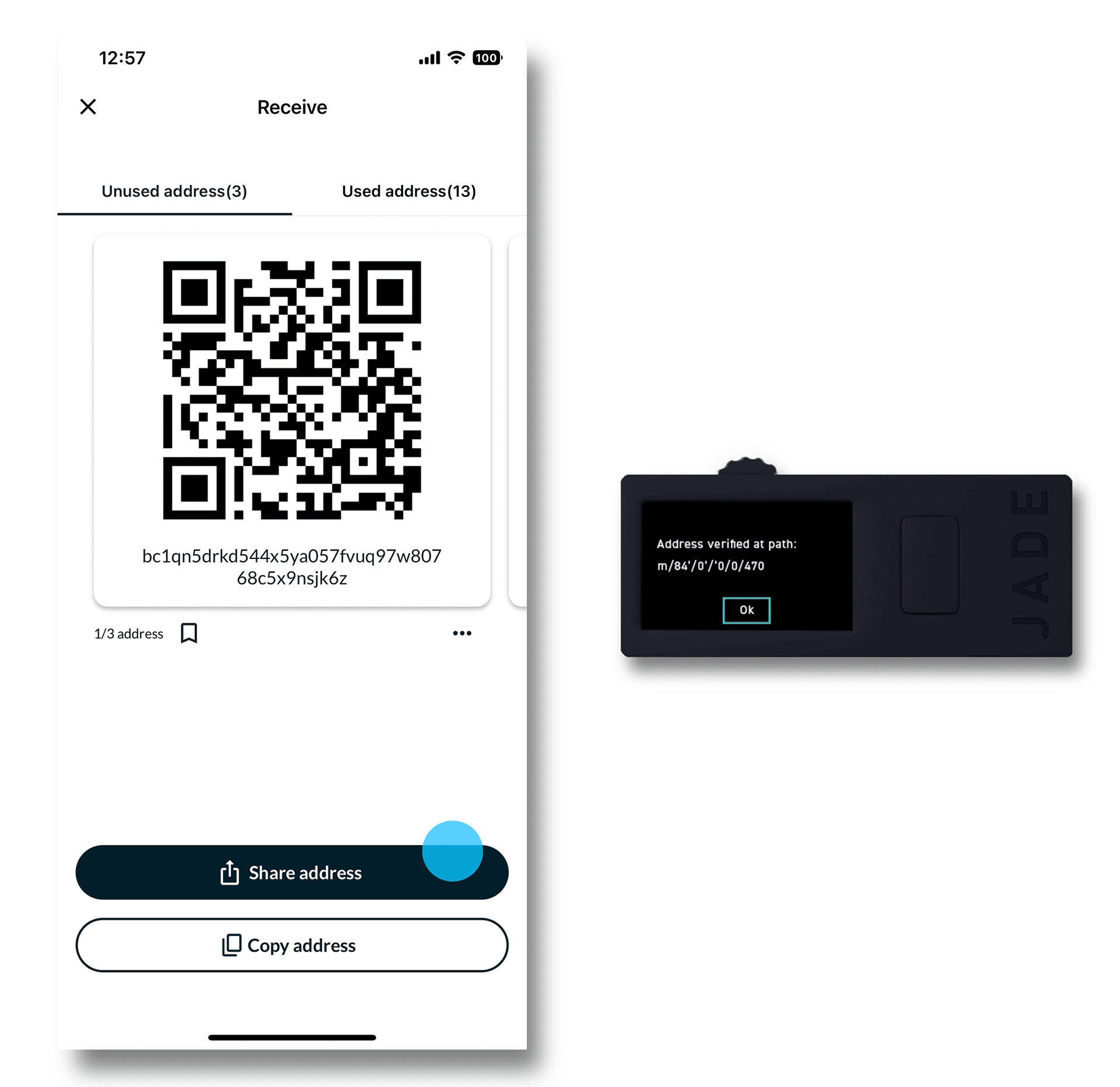 Jade Plus address verification result