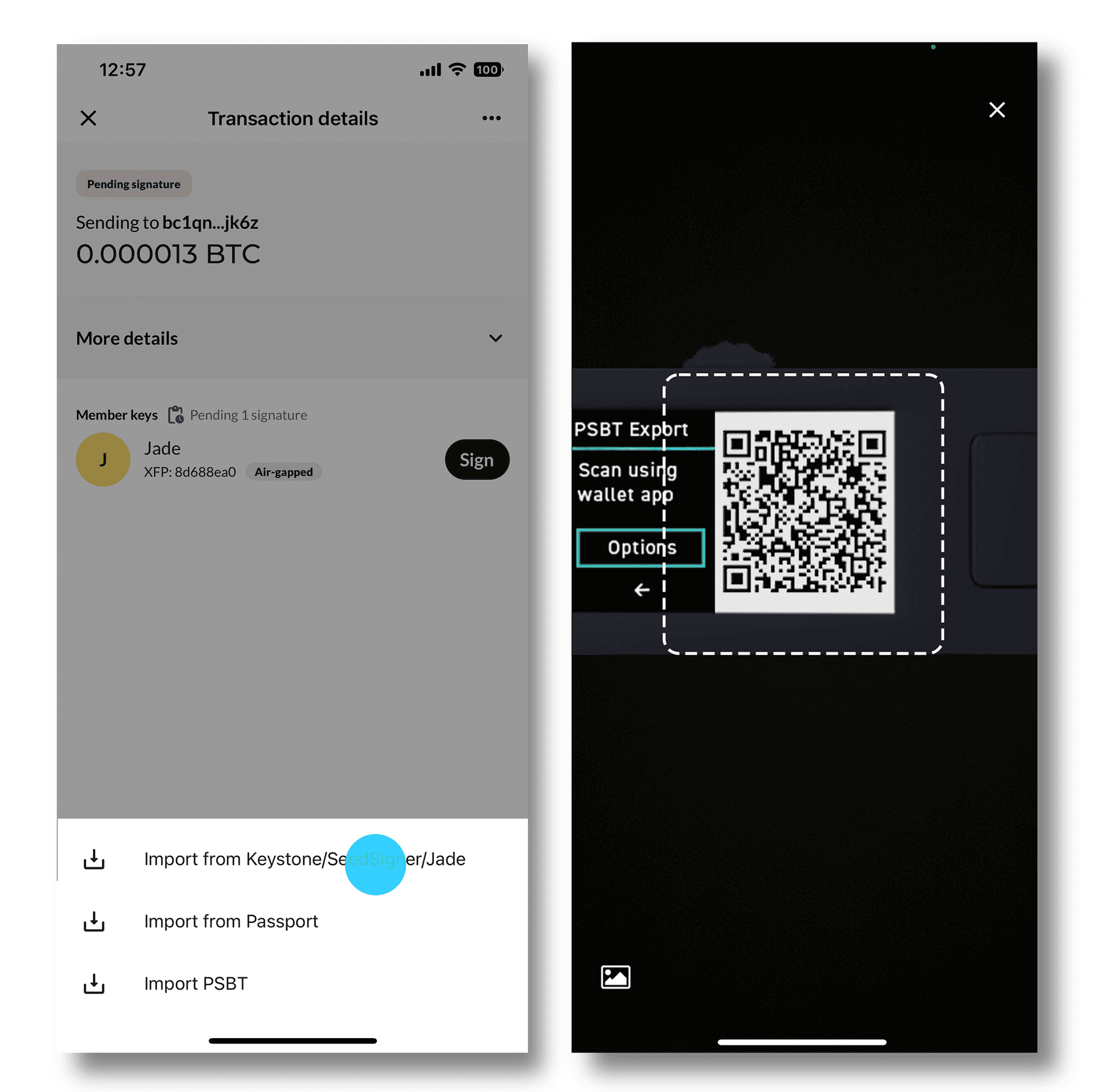 Nunchuk capturing the signed transaction QR frames