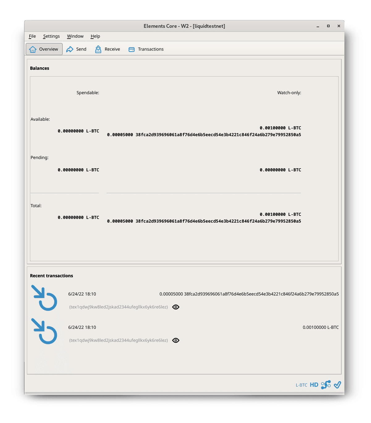 Watch-only wallet showing transactions sent to the original wallet