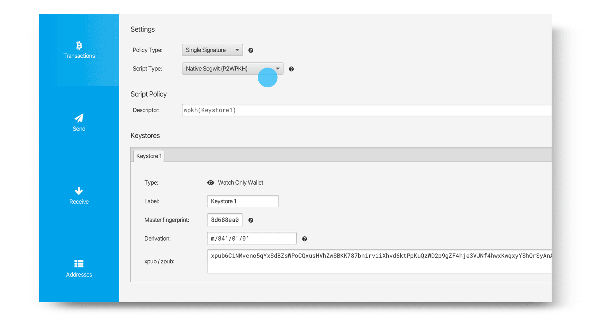 Companion wallet settings showing the policy type and script type selections that must match your Jade xpub export