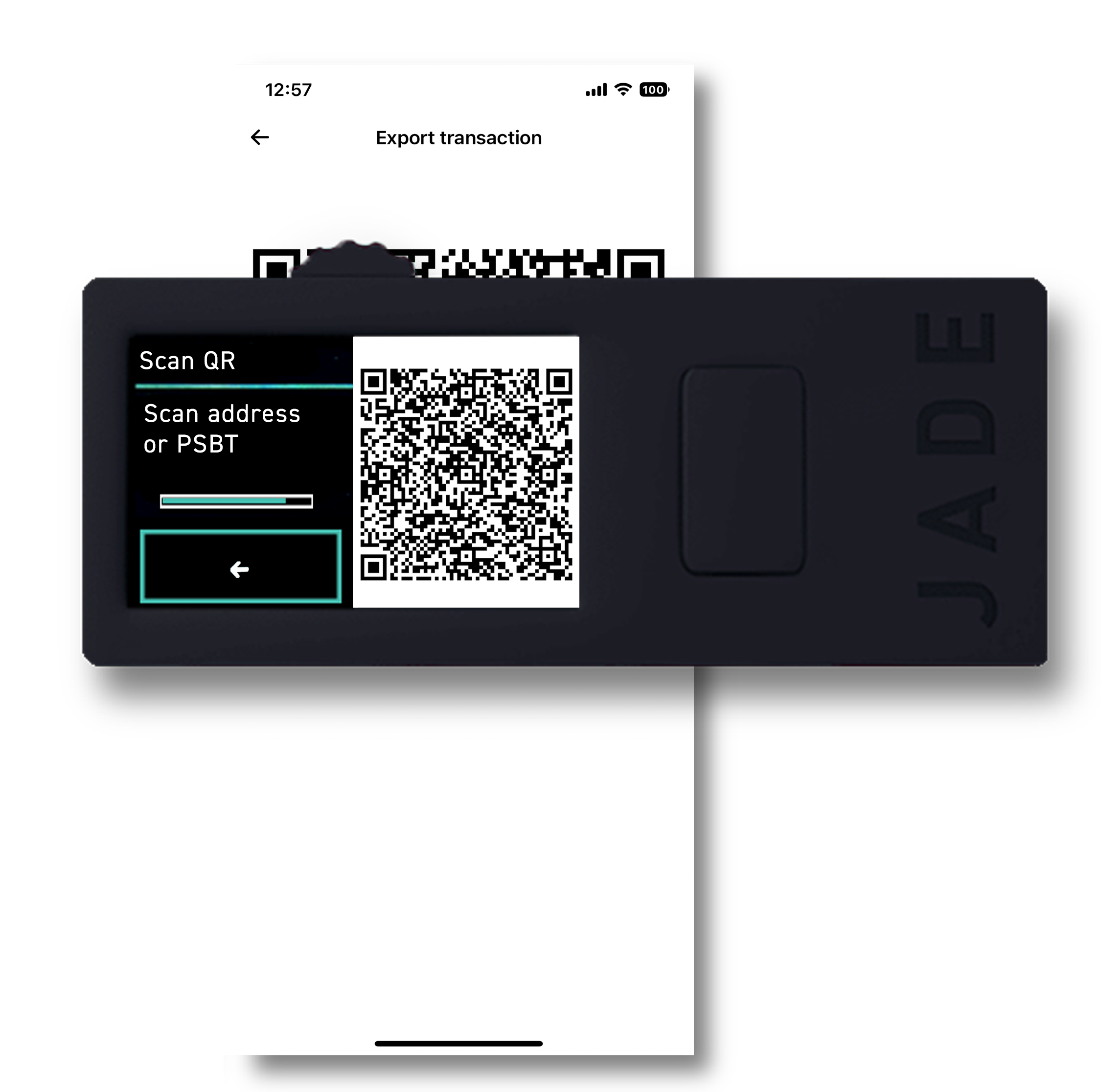 scan.png