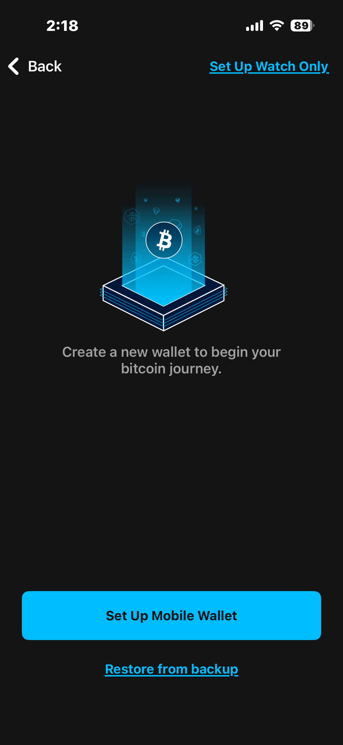 Set up watch only wallet 7.PNG