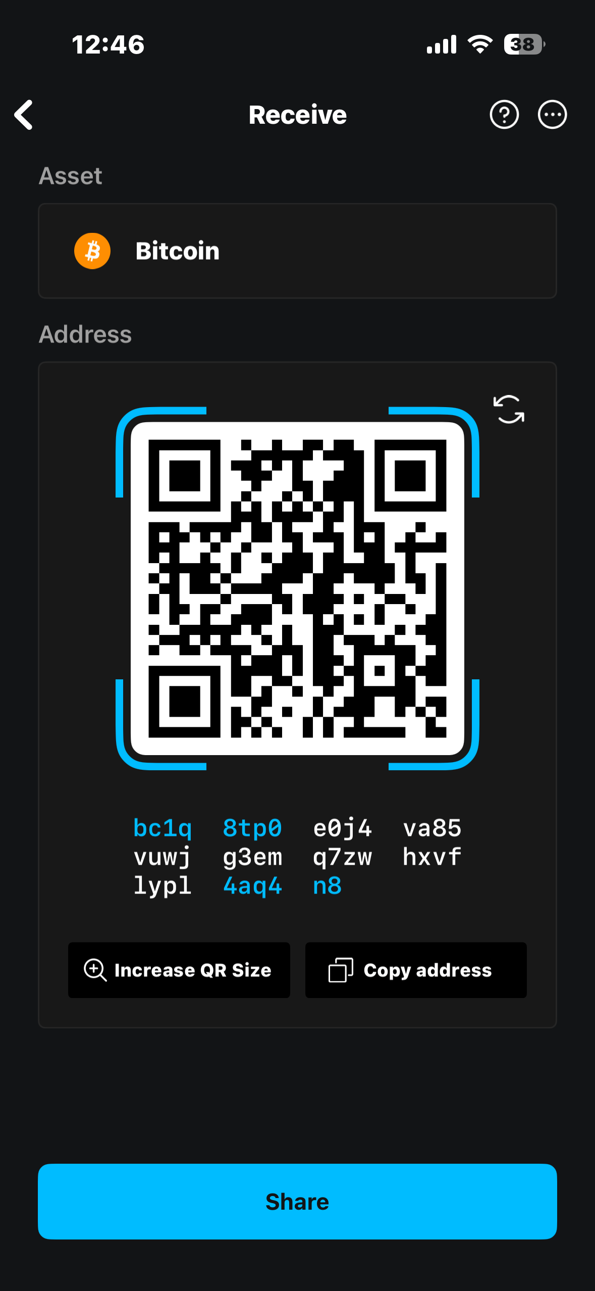 Bitcoin receive address page
