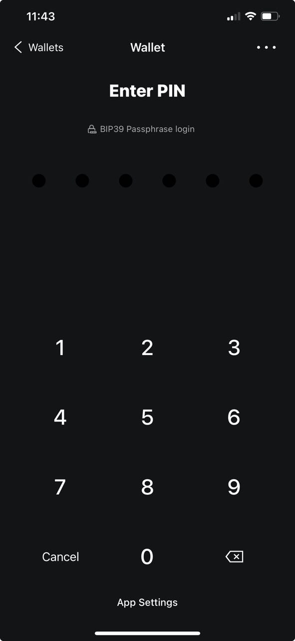 PIN entry screen for a BIP39 passphrase-enabled wallet in the Blockstream app