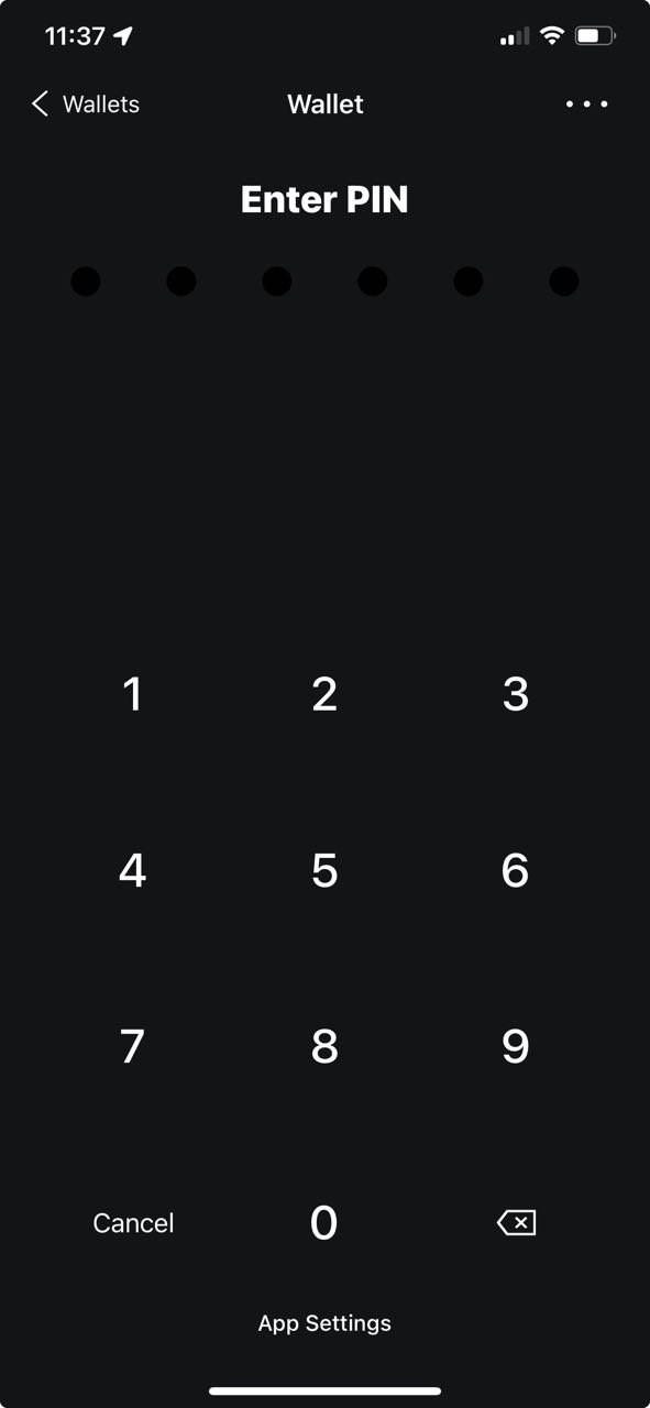 PIN entry screen with the three-dot menu in the upper-right corner of the Blockstream app