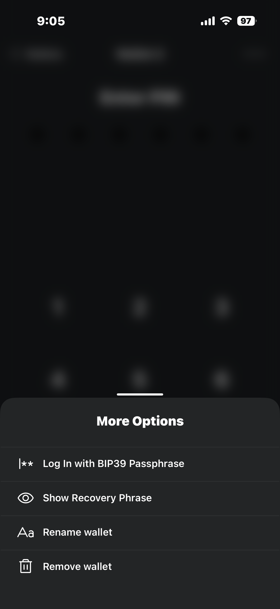 More Options menu showing Log In with BIP39 Passphrase in the Blockstream app