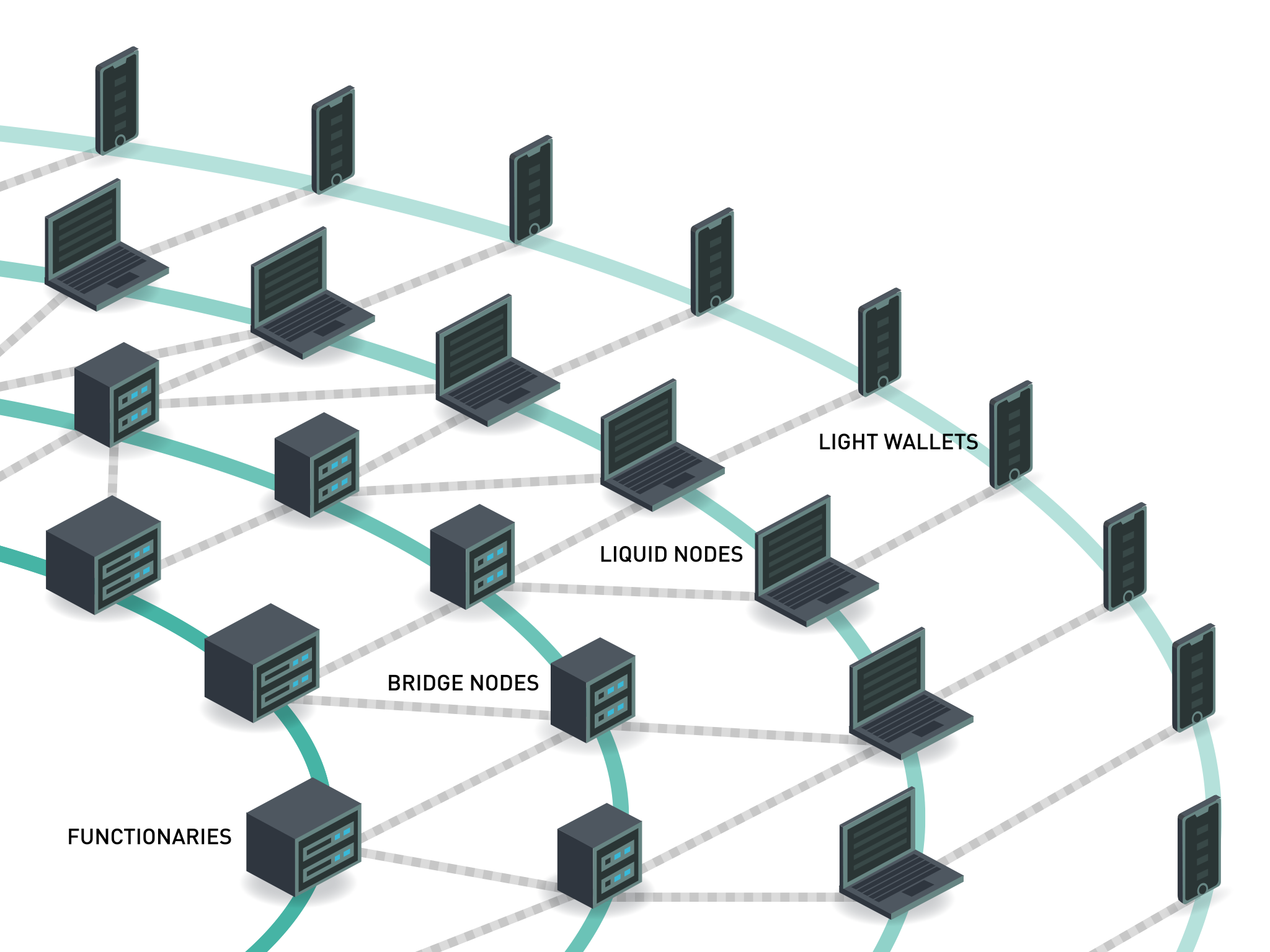 202000805_diagram_of_liquid_network_structure2048x1536px.png